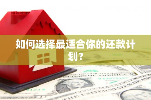 阜平如何选择最适合你的还款计划？