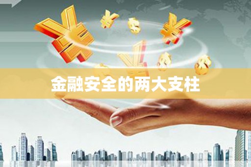 阜平金融安全的两大支柱