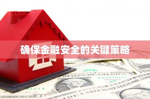 阜平确保金融安全的关键策略