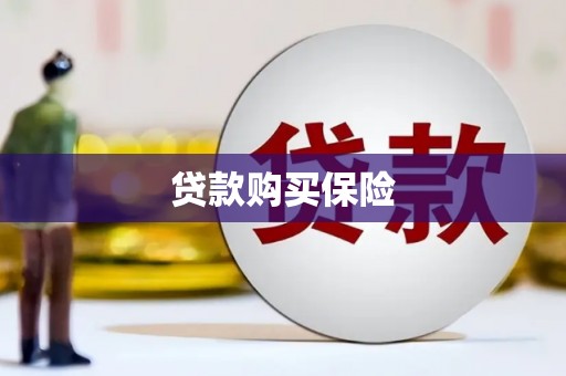 阜平贷款购买保险