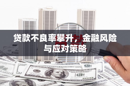 阜平贷款不良率攀升，金融风险与应对策略