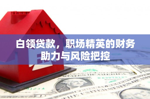 阜平白领贷款，职场精英的财务助力与风险把控