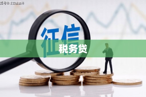 阜平税务贷
