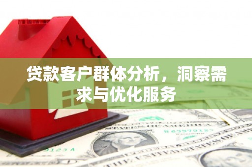 阜平贷款客户群体分析，洞察需求与优化服务